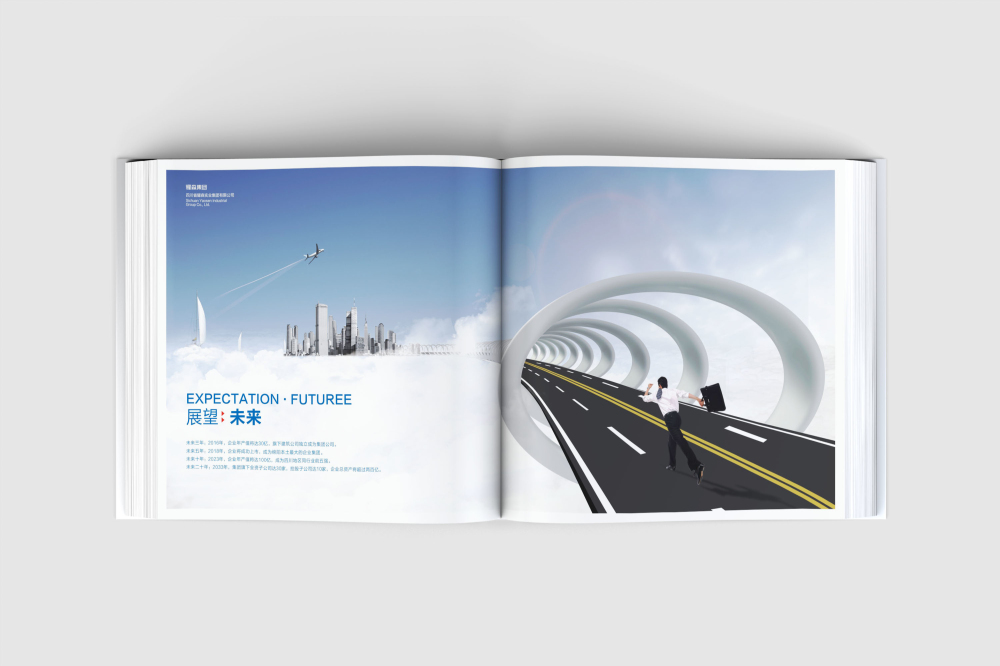 云龙区画册设计